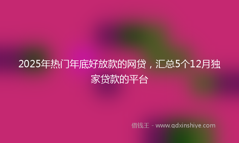 2025年热门年底好放款的网贷，汇总5个12月独家贷款的平台
