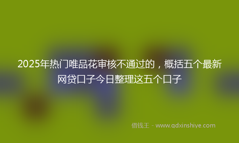2025年热门唯品花审核不通过的，概括五个最新网贷口子今日整理这五个口子