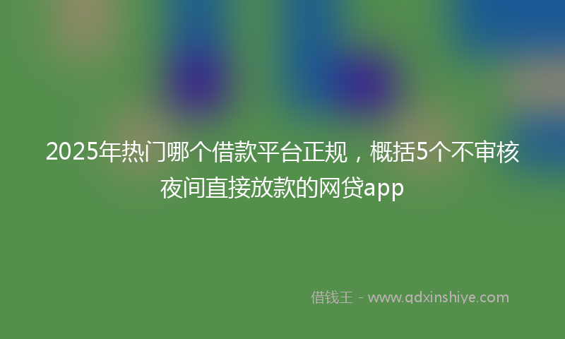 2025年热门哪个借款平台正规，概括5个不审核夜间直接放款的网贷app