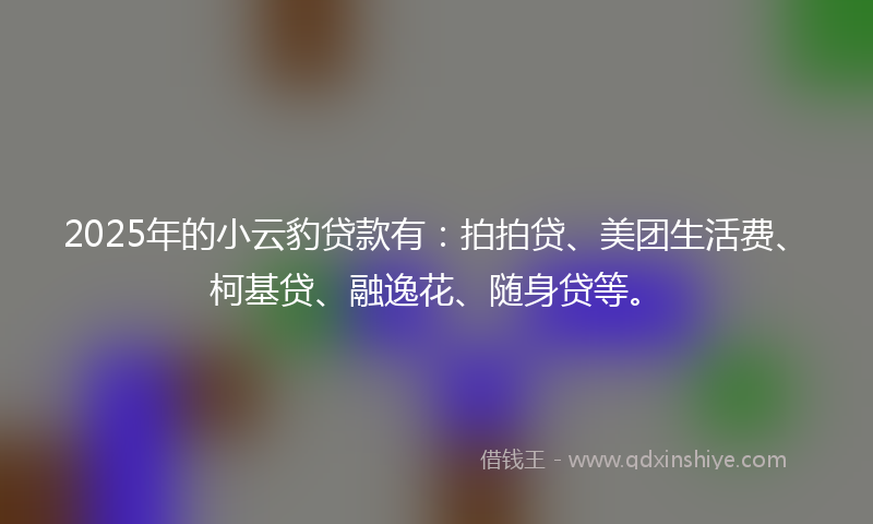 2025年的小云豹贷款有：拍拍贷、美团生活费、柯基贷、融逸花、随身贷等。