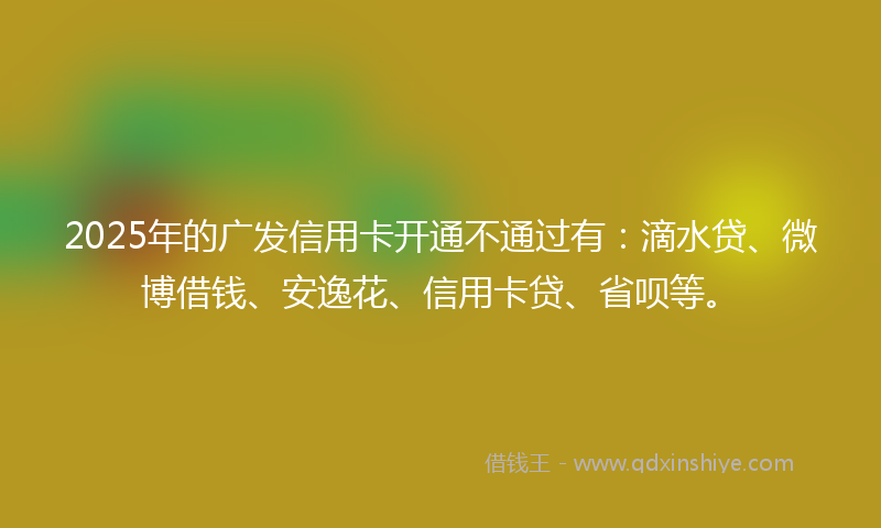 2025年的广发信用卡开通不通过有：滴水贷、微博借钱、安逸花、信用卡贷、省呗等。