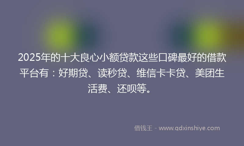 2025年的十大良心小额贷款这些口碑最好的借款平台有：好期贷、读秒贷、维信卡卡贷、美团生活费、还呗等。