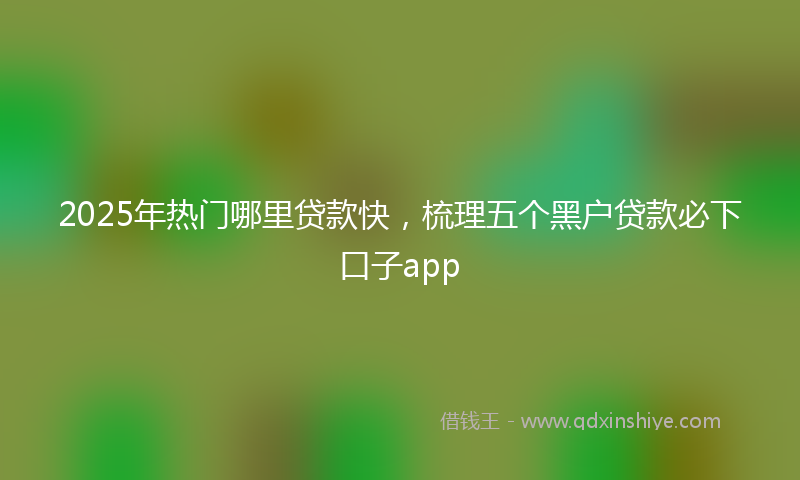 2025年热门哪里贷款快，梳理五个黑户贷款必下口子app