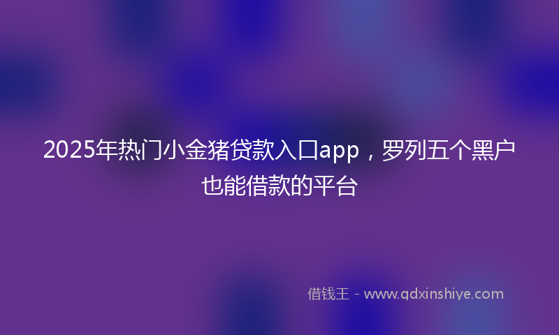 2025年热门小金猪贷款入口app，罗列五个黑户也能借款的平台