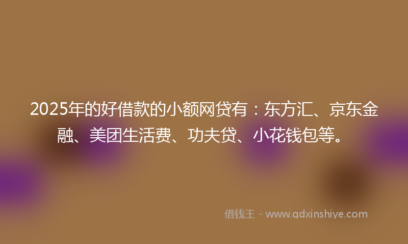 2025年的好借款的小额网贷有：东方汇、京东金融、美团生活费、功夫贷、小花钱包等。