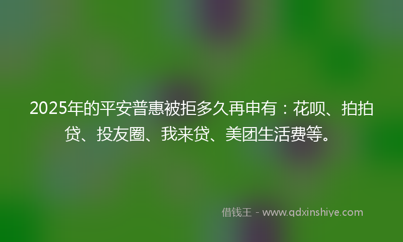 2025年的平安普惠被拒多久再申有：花呗、拍拍贷、投友圈、我来贷、美团生活费等。
