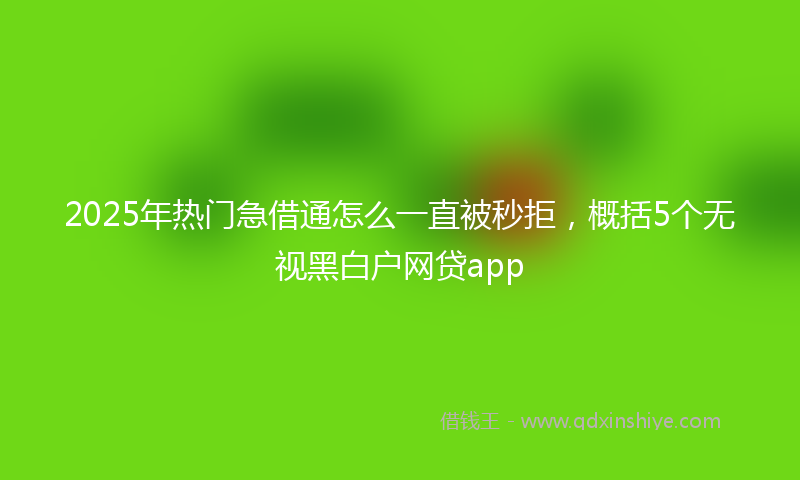 2025年热门急借通怎么一直被秒拒，概括5个无视黑白户网贷app