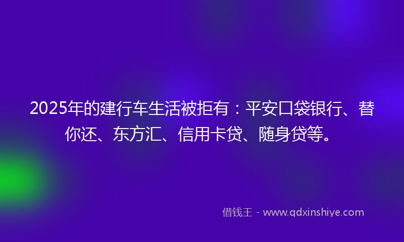 2025年的建行车生活被拒有：平安口袋银行、替你还、东方汇、信用卡贷、随身贷等。