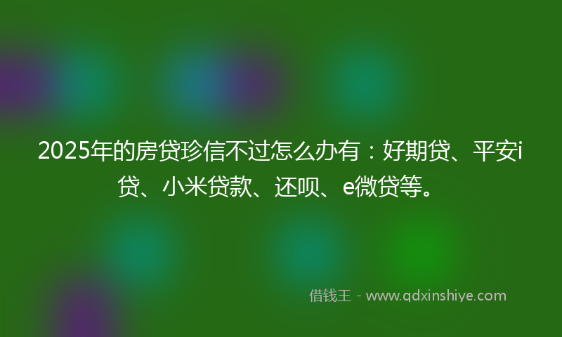 2025年的房贷珍信不过怎么办有：好期贷、平安i贷、小米贷款、还呗、e微贷等。