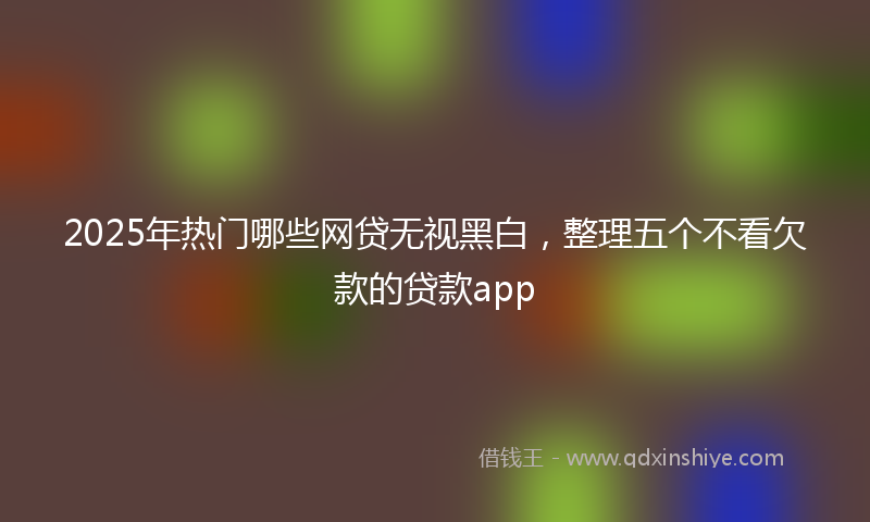 2025年热门哪些网贷无视黑白，整理五个不看欠款的贷款app
