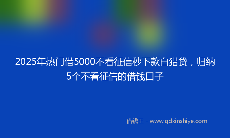 2025年热门借5000不看征信秒下款白猎贷，归纳5个不看征信的借钱口子
