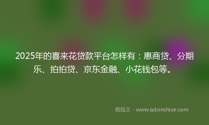 2025年的喜来花贷款平台怎样有：惠商贷、分期乐、拍拍贷、京东金融、小花钱包等。