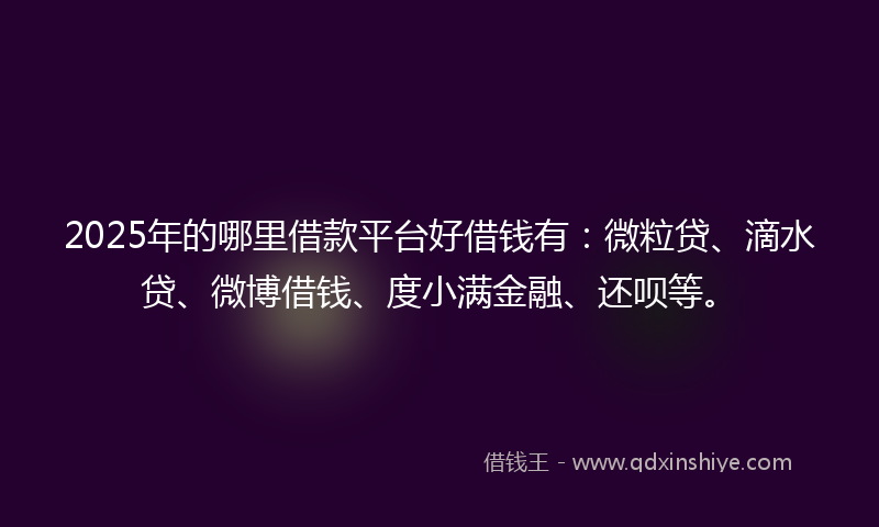 2025年的哪里借款平台好借钱有：微粒贷、滴水贷、微博借钱、度小满金融、还呗等。