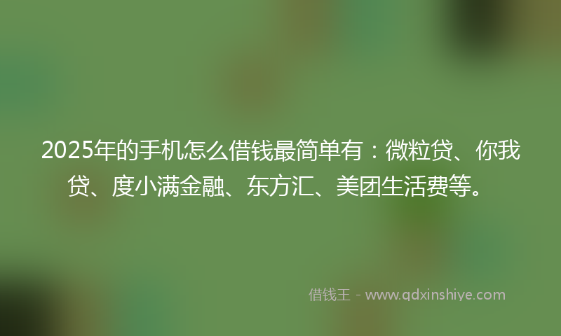 2025年的手机怎么借钱最简单有：微粒贷、你我贷、度小满金融、东方汇、美团生活费等。