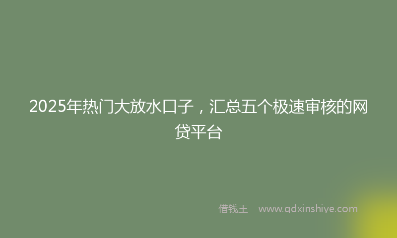2025年热门大放水口子，汇总五个极速审核的网贷平台