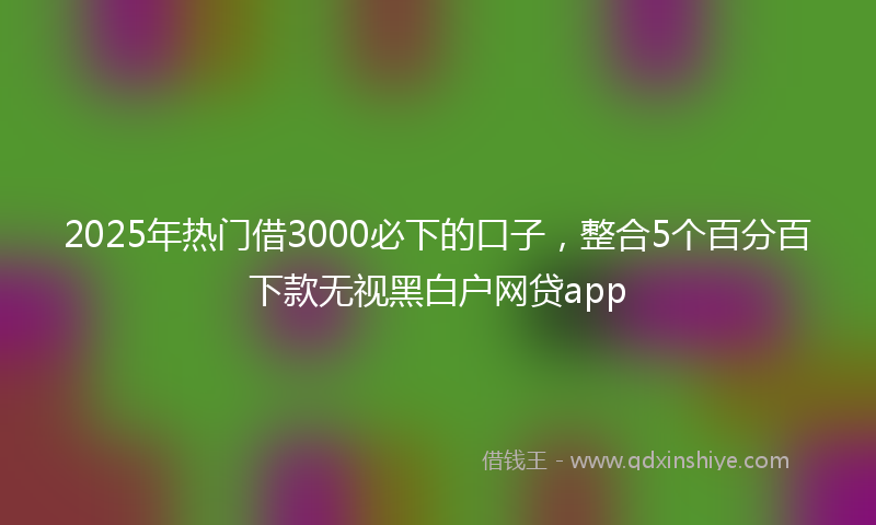 2025年热门借3000必下的口子，整合5个百分百下款无视黑白户网贷app
