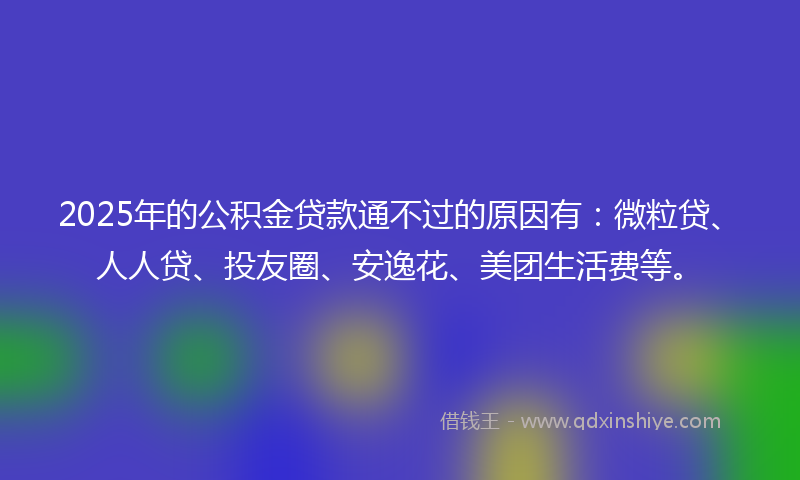 2025年的公积金贷款通不过的原因有：微粒贷、人人贷、投友圈、安逸花、美团生活费等。