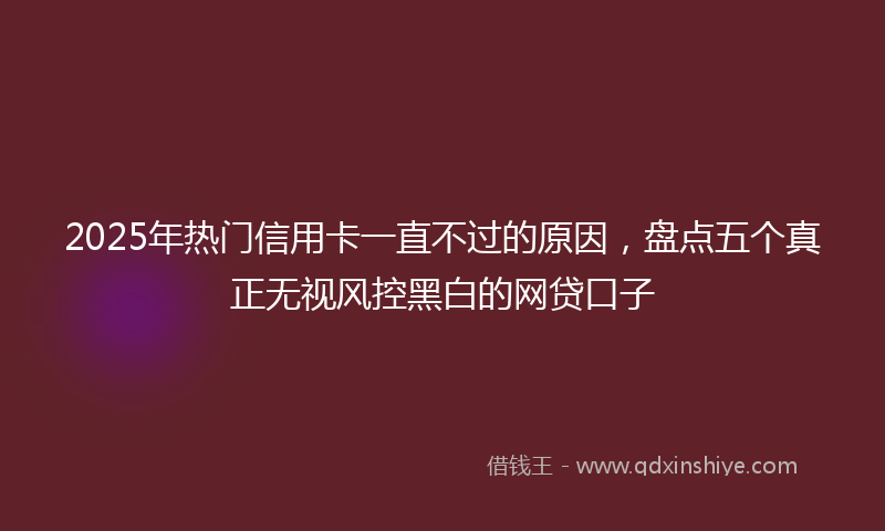 2025年热门信用卡一直不过的原因，盘点五个真正无视风控黑白的网贷口子