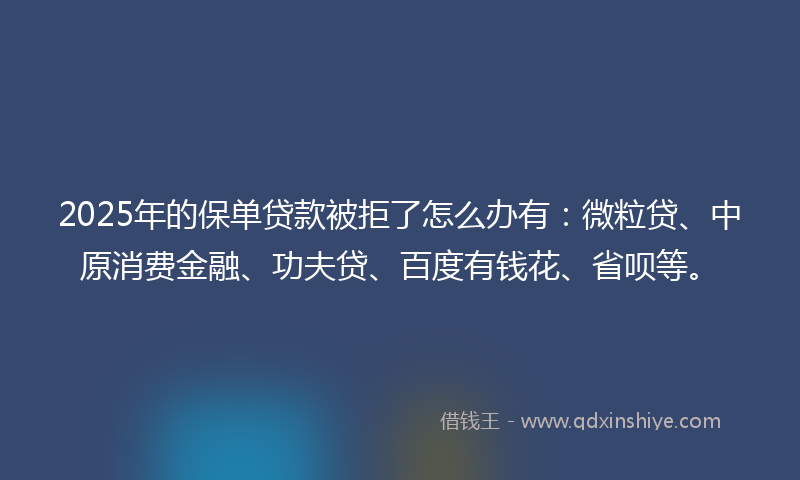 2025年的保单贷款被拒了怎么办有：微粒贷、中原消费金融、功夫贷、百度有钱花、省呗等。