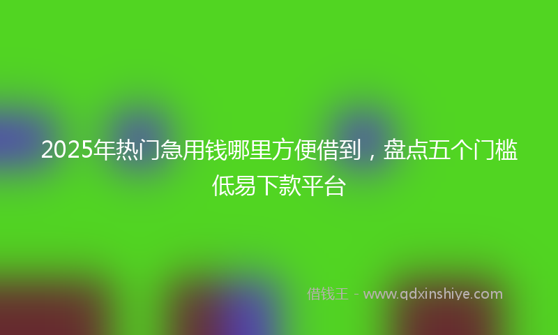 2025年热门急用钱哪里方便借到，盘点五个门槛低易下款平台