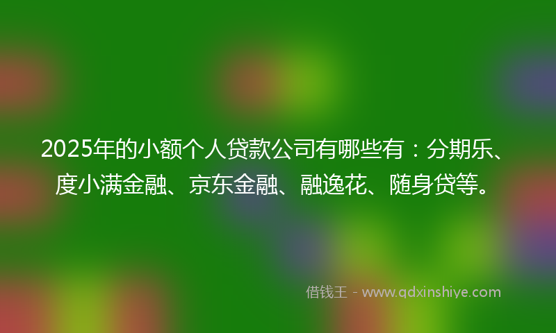 2025年的小额个人贷款公司有哪些有：分期乐、度小满金融、京东金融、融逸花、随身贷等。