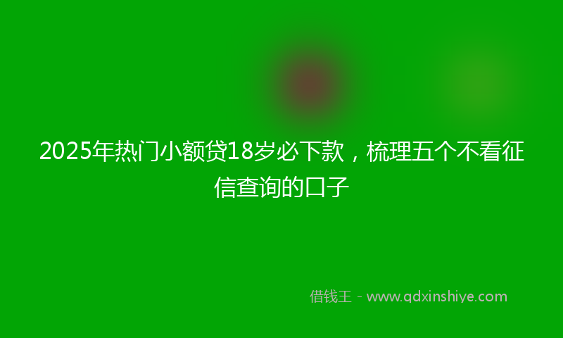 2025年热门小额贷18岁必下款，梳理五个不看征信查询的口子