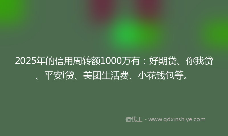 2025年的信用周转额1000万有：好期贷、你我贷、平安i贷、美团生活费、小花钱包等。