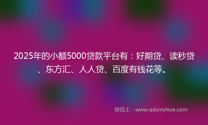 2025年的小额5000贷款平台有：好期贷、读秒贷、东方汇、人人贷、百度有钱花等。