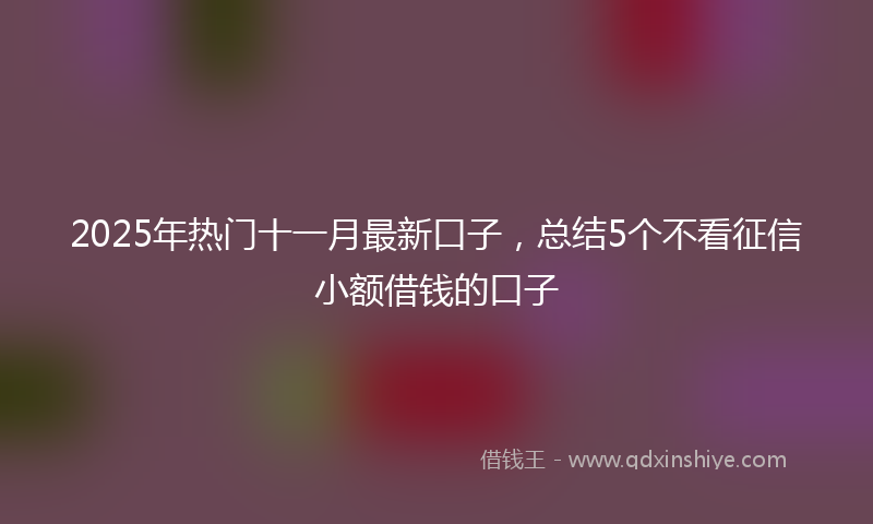 2025年热门十一月最新口子，总结5个不看征信小额借钱的口子