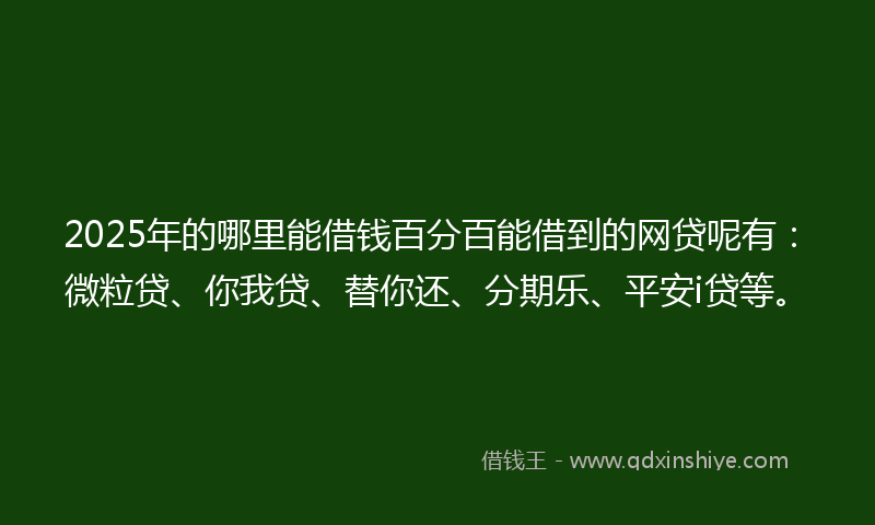 2025年的哪里能借钱百分百能借到的网贷呢有：微粒贷、你我贷、替你还、分期乐、平安i贷等。