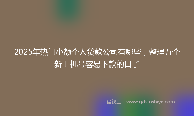 2025年热门小额个人贷款公司有哪些，整理五个新手机号容易下款的口子