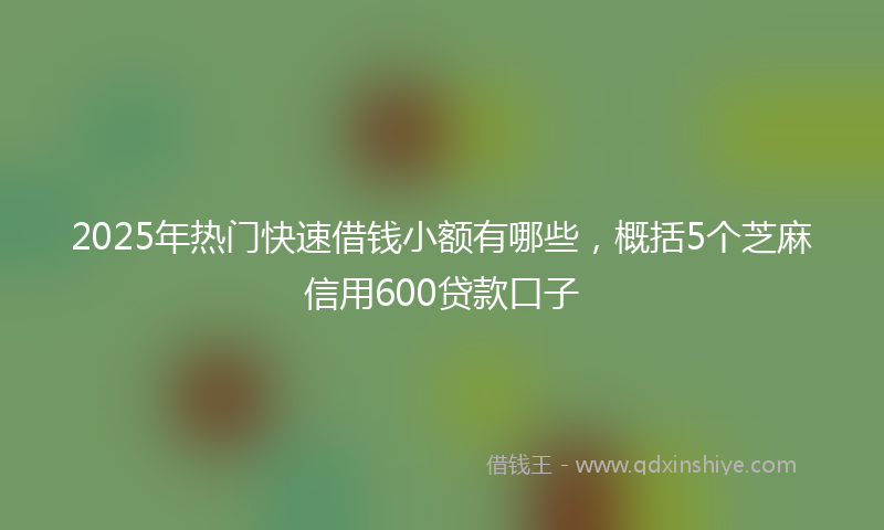 2025年热门快速借钱小额有哪些，概括5个芝麻信用600贷款口子