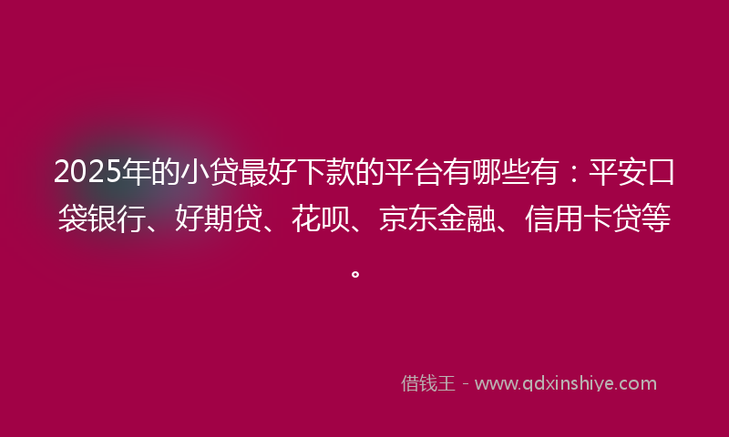 2025年的小贷最好下款的平台有哪些有：平安口袋银行、好期贷、花呗、京东金融、信用卡贷等。