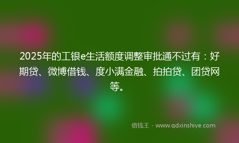 2025年的工银e生活额度调整审批通不过有：好期贷、微博借钱、度小满金融、拍拍贷、团贷网等。