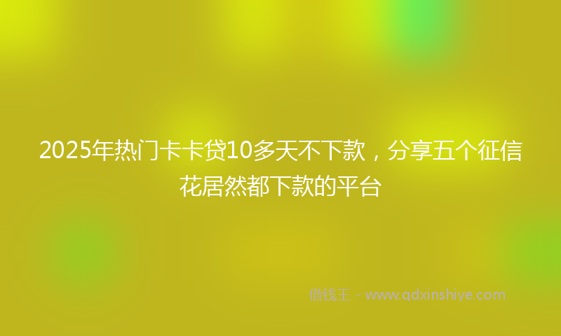 2025年热门卡卡贷10多天不下款，分享五个征信花居然都下款的平台
