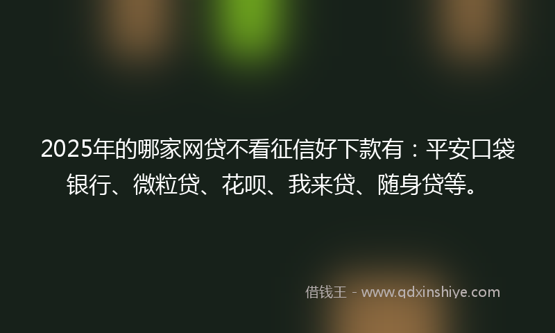 2025年的哪家网贷不看征信好下款有：平安口袋银行、微粒贷、花呗、我来贷、随身贷等。