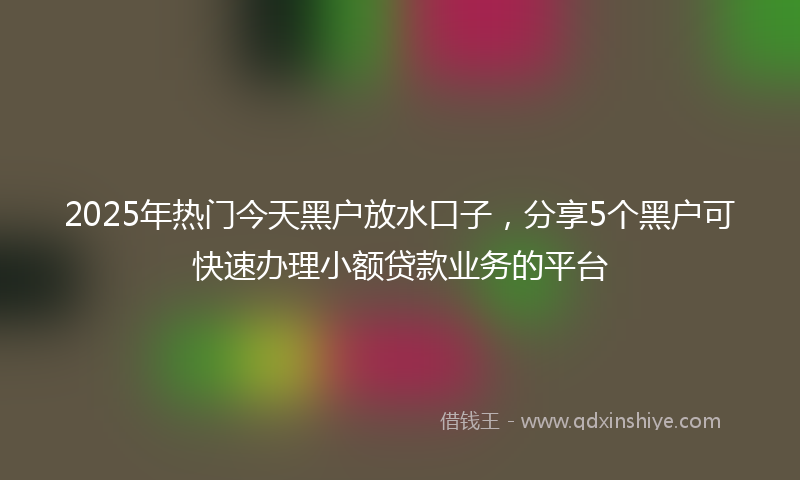 2025年热门今天黑户放水口子，分享5个黑户可快速办理小额贷款业务的平台