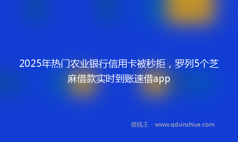 2025年热门农业银行信用卡被秒拒，罗列5个芝麻借款实时到账速借app