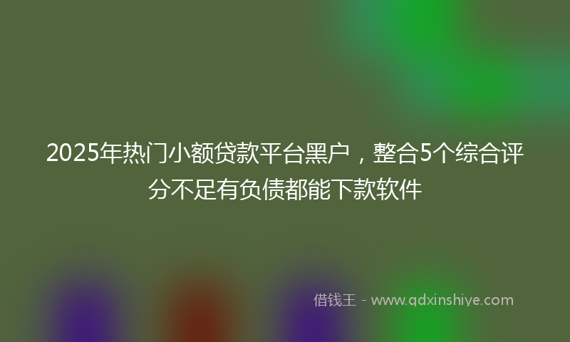 2025年热门小额贷款平台黑户，整合5个综合评分不足有负债都能下款软件