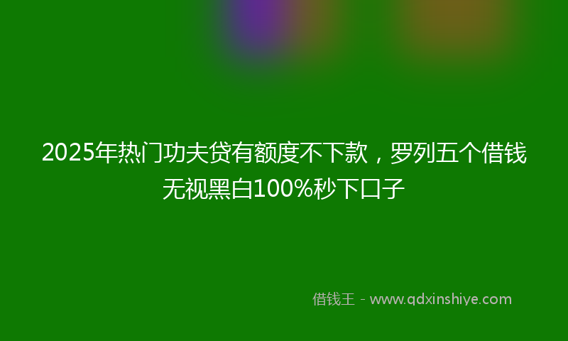 2025年热门功夫贷有额度不下款，罗列五个借钱无视黑白100%秒下口子