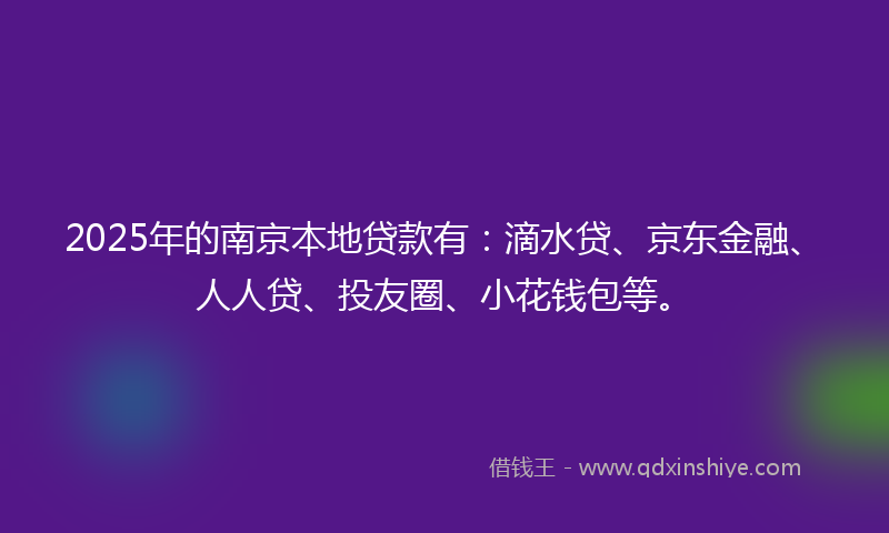 2025年的南京本地贷款有：滴水贷、京东金融、人人贷、投友圈、小花钱包等。