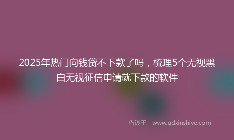 2025年热门向钱贷不下款了吗，梳理5个无视黑白无视征信申请就下款的软件