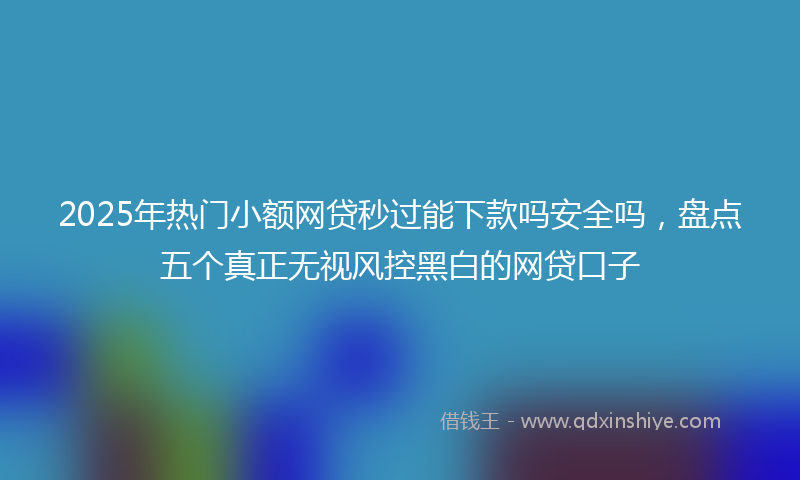 2025年热门小额网贷秒过能下款吗安全吗，盘点五个真正无视风控黑白的网贷口子