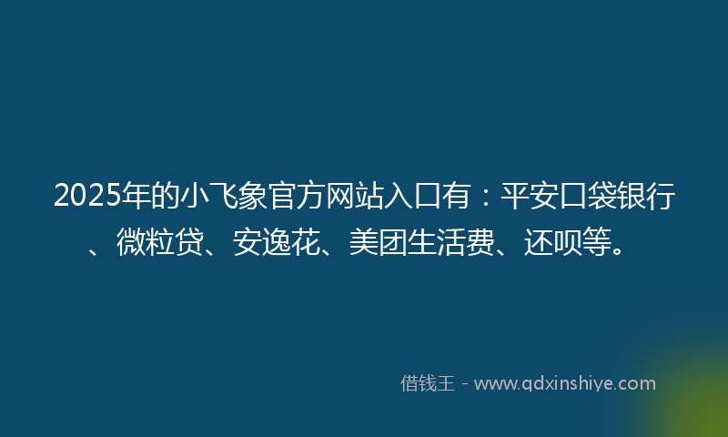 2025年的小飞象官方网站入口有：平安口袋银行、微粒贷、安逸花、美团生活费、还呗等。
