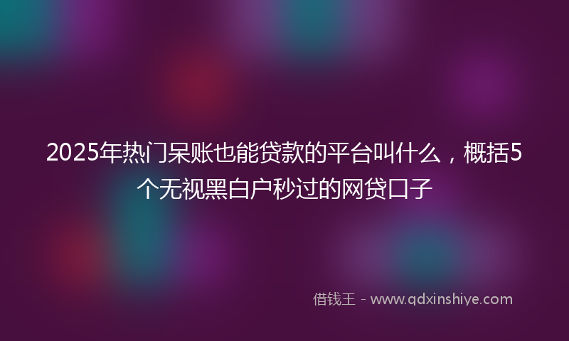 2025年热门呆账也能贷款的平台叫什么，概括5个无视黑白户秒过的网贷口子