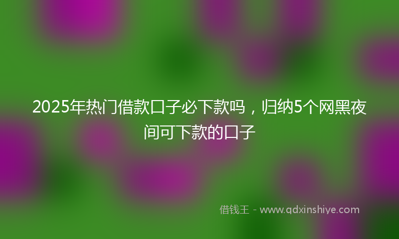 2025年热门借款口子必下款吗，归纳5个网黑夜间可下款的口子