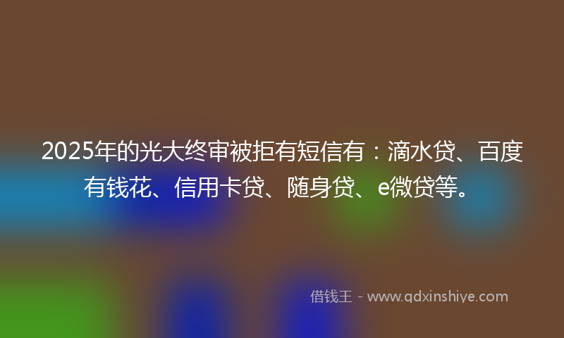2025年的光大终审被拒有短信有：滴水贷、百度有钱花、信用卡贷、随身贷、e微贷等。