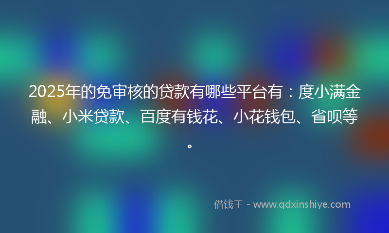 2025年的免审核的贷款有哪些平台有：度小满金融、小米贷款、百度有钱花、小花钱包、省呗等。