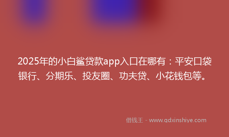 2025年的小白鲨贷款app入口在哪有：平安口袋银行、分期乐、投友圈、功夫贷、小花钱包等。