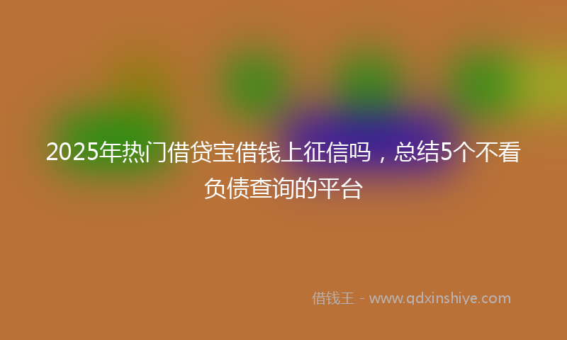 2025年热门借贷宝借钱上征信吗，总结5个不看负债查询的平台